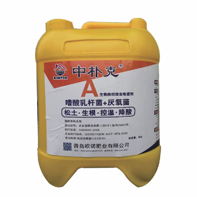 中朴克A 嗜酸乳杆菌+厌氧菌