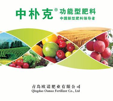 豆能量 益生雨腐熟发酵大豆 使用案例分享